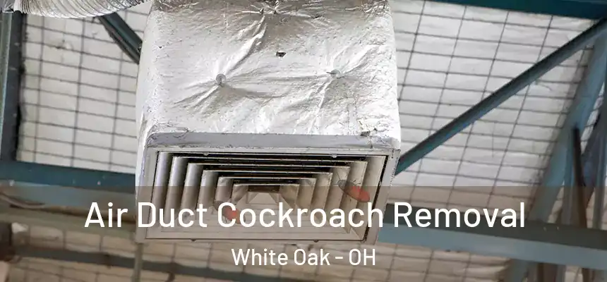  Air Duct Cockroach Removal White Oak - OH