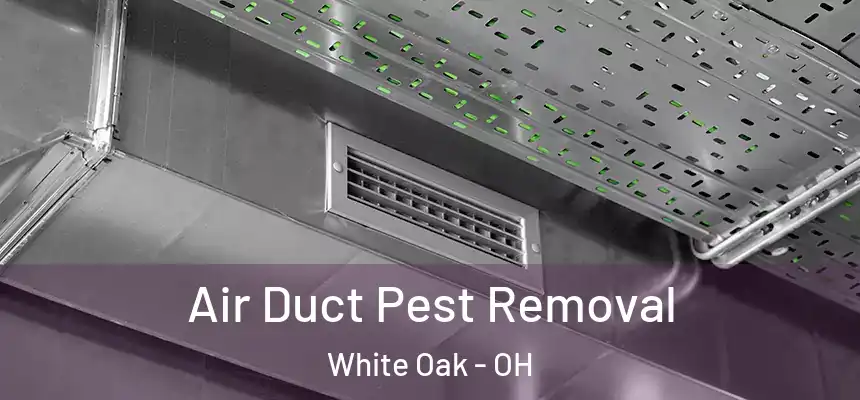  Air Duct Pest Removal White Oak - OH