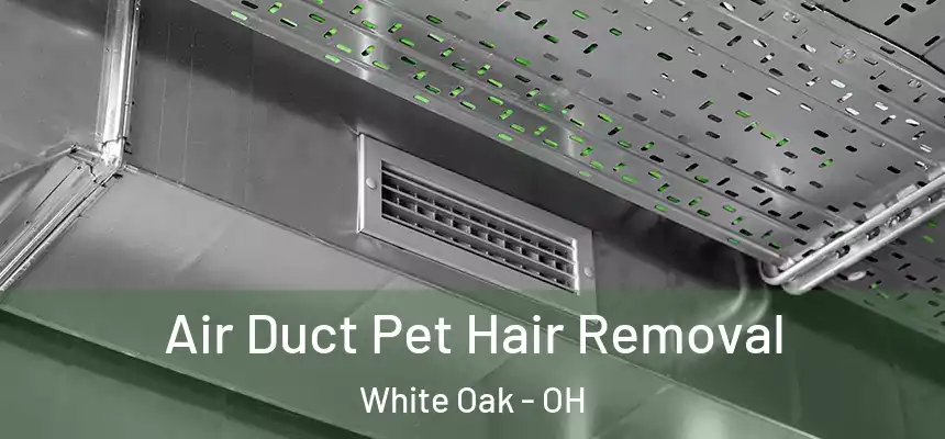  Air Duct Pet Hair Removal White Oak - OH