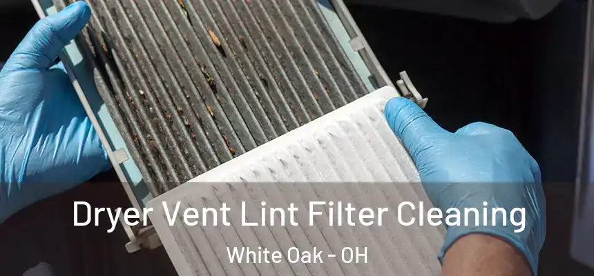 Dryer Vent Lint Filter Cleaning White Oak - OH