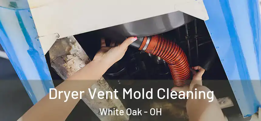  Dryer Vent Mold Cleaning White Oak - OH