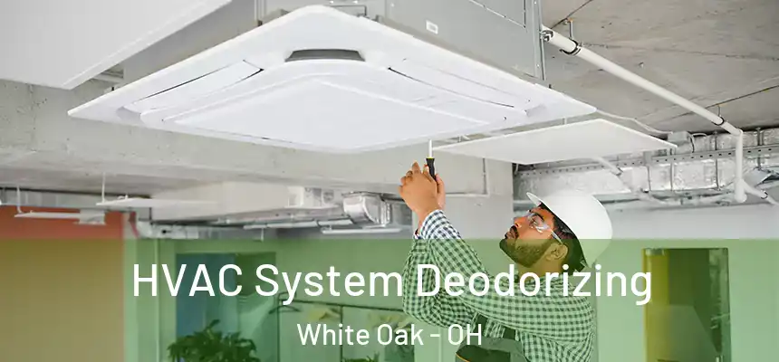  HVAC System Deodorizing White Oak - OH