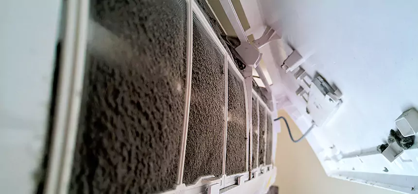 Preventive Air Duct Bacteria Removal in White Oak