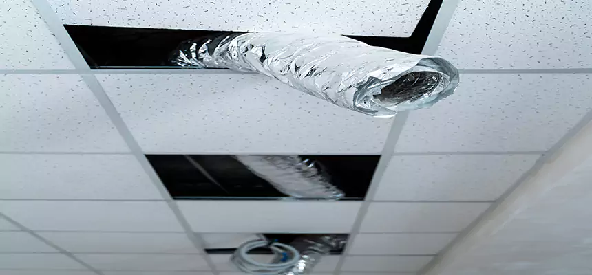 Our Air Duct Pet Hair Removal Services in White Oak, OH