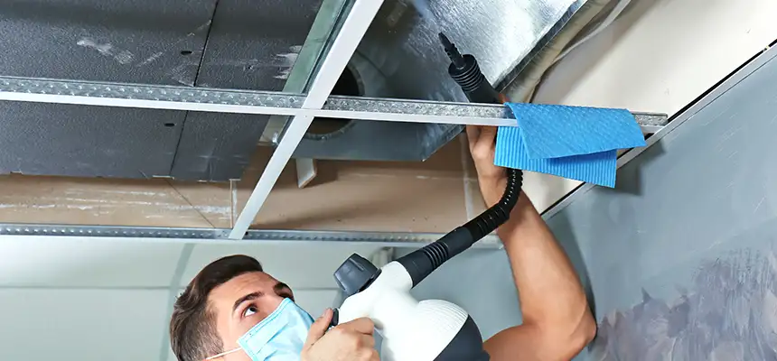 Our Air Duct Rodent Removal Services in White Oak, OH