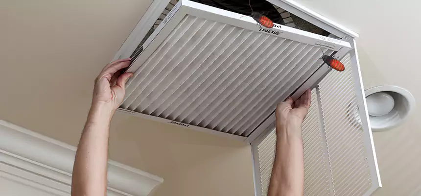 Our Insect Removal from Air Ducts Services in White Oak, OH