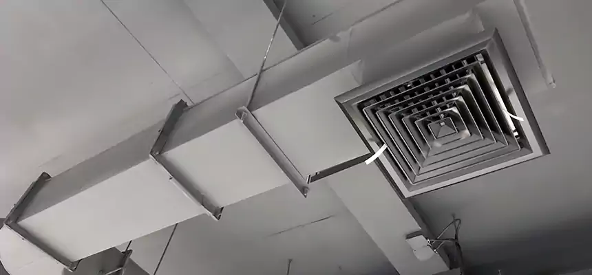 Our Pest Removal From Ducts Services in White Oak, OH