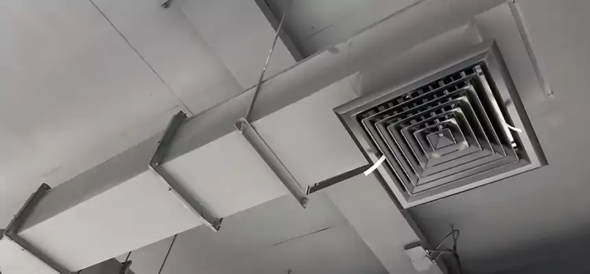 Our Rodent Droppings In Vents Services in White Oak, OH