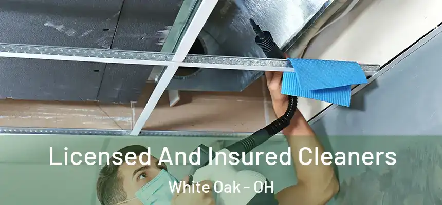  Licensed And Insured Cleaners White Oak - OH