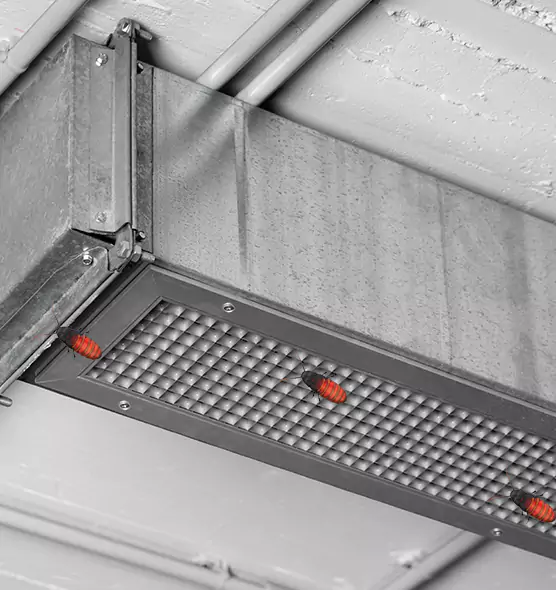 Affordable Insect Removal from Air Ducts in White Oak, OH