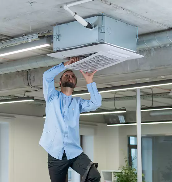 Advanced Rodent Droppings In Vents in White Oak, OH