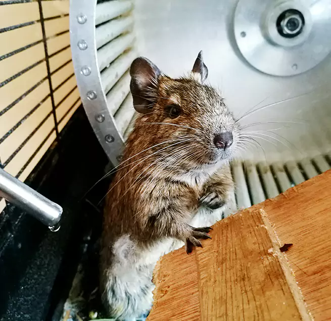 Why Homeowners & Businesses Trust Us White Oak, OH